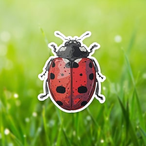 Ladybug Vinyl Sticker, Red Ladybug Decal, Insect Lover Gift, Bug Laptop Decal, insect lover gift