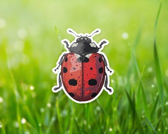 Ladybug Vinyl Sticker, Red Ladybug Decal, Insect Lover Gift, Bug Laptop Decal, insect lover gift