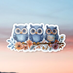 Eulen auf Ast Vinyl Aufkleber, Eulen Vogel Aufkleber, Ast Wandkunst, Geschenk für den Naturliebhaber
