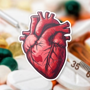 Anatomical Heart Decal, Vinyl Sticker, Medical Heart Illustration, Laptop Decoration, Water Bottle Decal, Science Enthusiast Gift