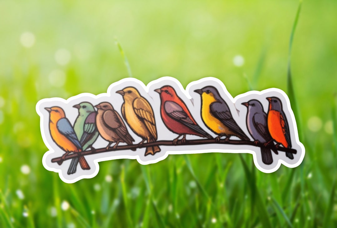 Colorful Bird Line Sticker, Vibrant Decal, Bird Fan Gift, Bird ...