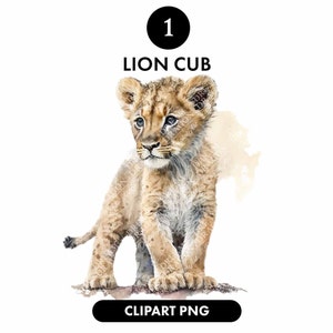 Lionceau aquarelle png, Animal clip art png, Téléchargement numérique, Téléchargement instantané, Fabrication de cartes, Scrapbooking, Invitations