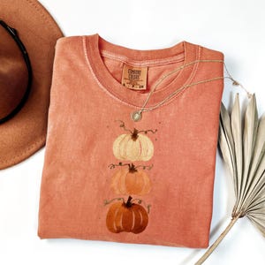 May include: A terracotta-colored short-sleeve t-shirt featuring a graphic of three stacked pumpkins in varying shades of orange and cream. The shirt has a Comfort Colors brand label at the neck and is displayed with a brown hat and a dried palm leaf.