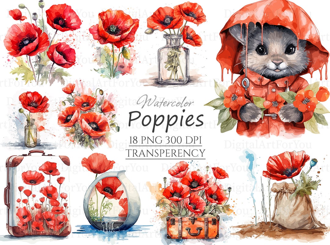 Poppy Clipart | Red Poppy Watercolor | Rabbit Clipart Bundle PNG & SVG ...