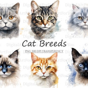 Gatos Clássicos 25pc PNG e SVG | Gato PNG | Clipart de aquarela de gato | Uso Comercial | Pacote de clipart de gato | Arte Cricut de gatos | Gatos, raças Clipart