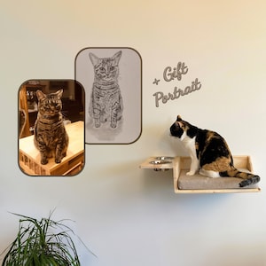 Protects food for cats from dogs. Free portrait gift. Beige cat pillow and pine cat shelf. Do it yourself. Christmas gift cat feeding shelf.