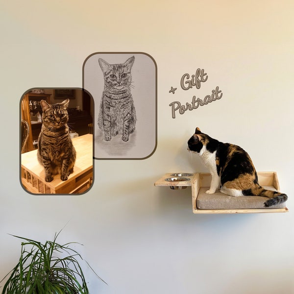 Protects food for cats from dogs. Free portrait gift. Beige cat pillow and pine cat shelf. Do it yourself. Christmas gift cat feeding shelf.