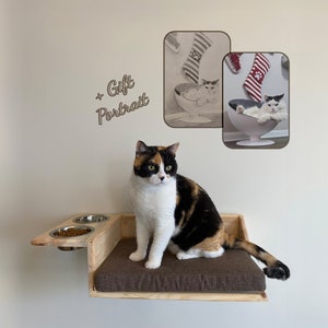 Cat Shelf for Valentine's Day Do it Yourself Floating Shelves, Feeder, Bed, Perch, Cat Wall Decor, Homemade Wooden Cat Dish Stand Cat Pillow