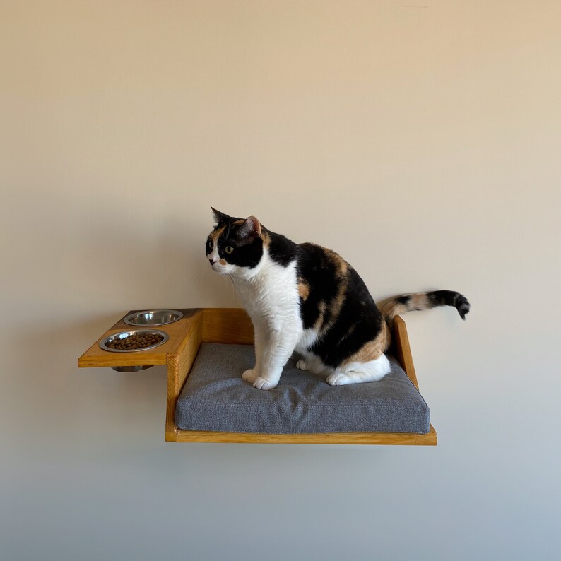 Homemade Cat Wall Mounted Furniture DIY Feeder, Floating Shelves, Oak