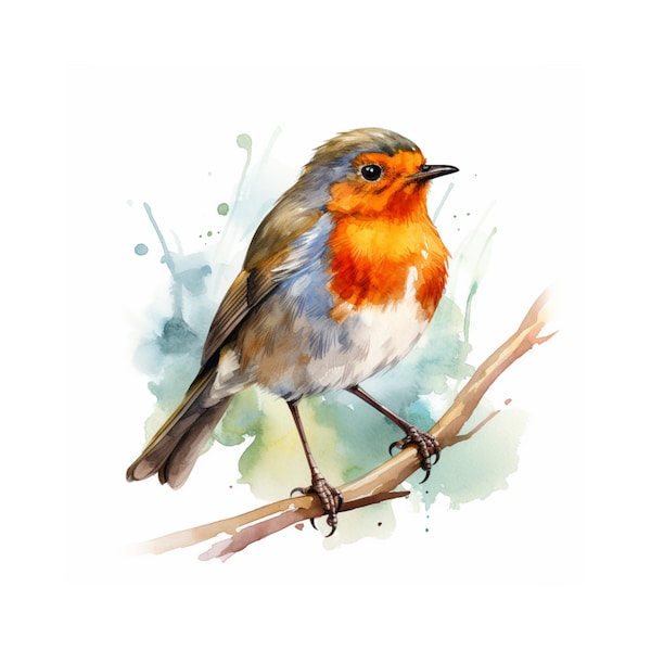 Aquarell Rotkehlchen, 4 digitale Clipart, printable Kunst, Pdf, digitaler Download, benutzerdefinierter Druck