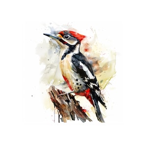 Woodpecker watercolor painting printable wall art, woodpecker clipart, bird wall art, bird wall decor, home decor, instant download