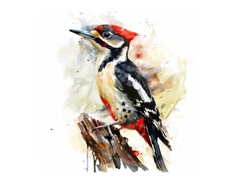 アカゲラ - 鳥のアートプリント - 鳥の水彩画イラスト - 自然の写真