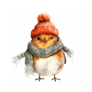 Rotkehlchen Vogel Wolle Clipart, druckbare Aquarell Clipart, JPGs in hoher Qualität, digitaler Download, Papiermodell, Weihnachtsrotkehlchen