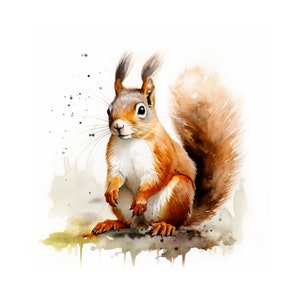Squirrel watercolor painting, watercolor squirrel printable art, squirrel poster, Nursery wall decor, squirrel clipart