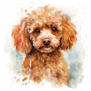 Toy Poodle watercolor painting printable wall art, pet portrait, dog portrait, dog clipart, digital print, nursery art