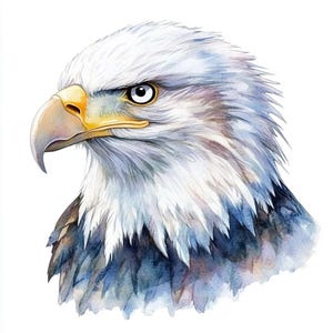 Watercolor Eagle Clipart Set – 5 High‑Res PNGs – Instant Digital Download – Patriotic Illustration for Scrapbooking, T‑Shirts, DIY Crafts
