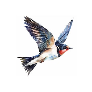 Swallow watercolor painting printable wall art, swallow clipart, digital download, art print, bird wall decor