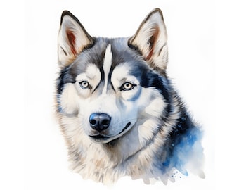 Siberian  Husky watercolor painting, Husky printable wall art, pet portrait, instant download, Dog painting, Dog clipart, Husky poster