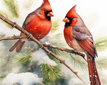 Cardinal birds watercolor painting printable wall art, christmas, instant download, Cardinals digital download, Cardinals clipart
