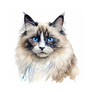 Pintura de acuarela de gato Ragdoll, arte de pared imprimible, impresión de gato, decoración de pared de gato Ragdoll, descarga instantánea