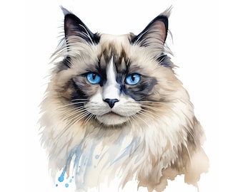 Pintura de acuarela de gato Ragdoll, arte de pared imprimible, impresión de gato, decoración de pared de gato Ragdoll, descarga instantánea
