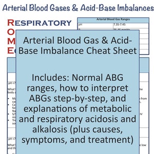 ABG, Electrolyte, and Lab Values Nursing Study Bundle