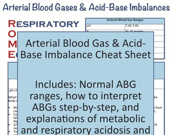 ABG, Electrolyte, and Lab Values Nursing Study Bundle