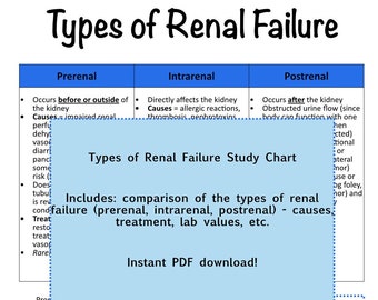 Guia de estudo sobre 3 tipos de insuficiência renal