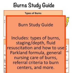 May include: A study guide titled "Burns Study Guide" with information on burn types, staging, fluid resuscitation, and nursing care. Includes the Parkland formula and referral criteria. Features the text "Instant PDF download!"