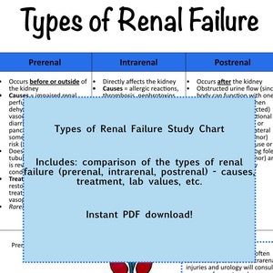 May include: A blue and white chart titled "Types of Renal Failure Study Chart" with the headings "Prerenal", "Intrarenal", and "Postrenal". The chart lists the causes, treatment, and lab values for each type of renal failure.