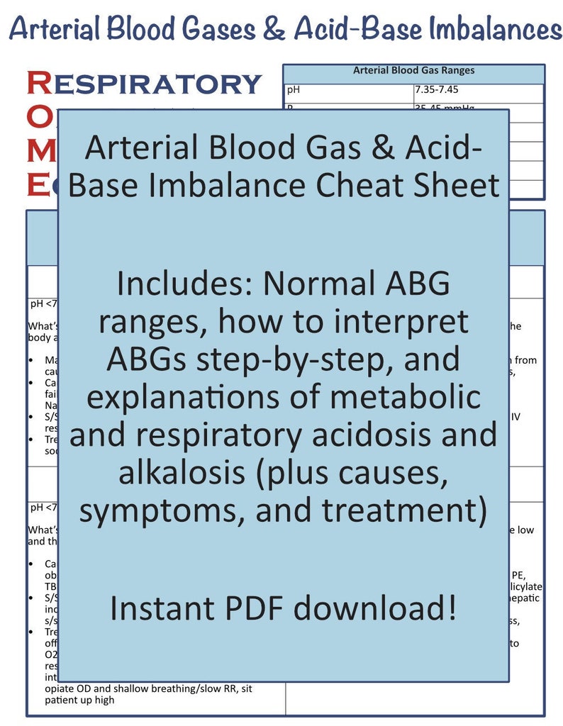 ABG, Electrolyte, and Lab Values Nursing Study Bundle Etsy