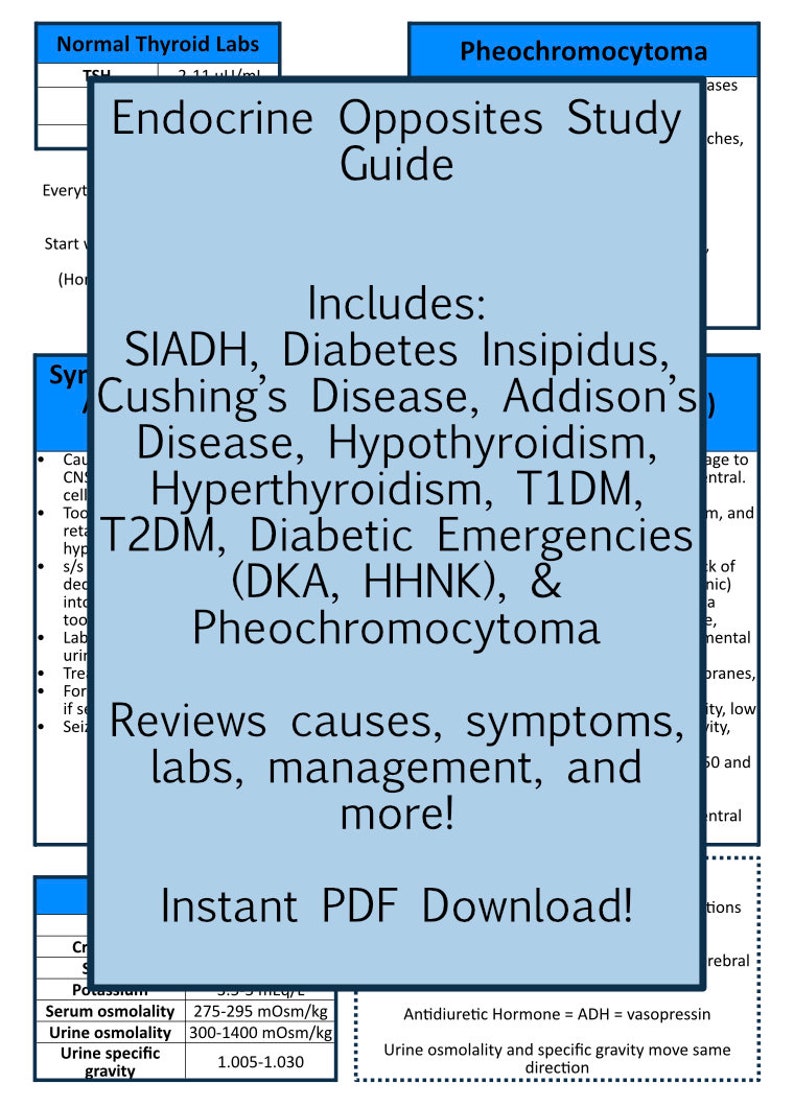Endocrine Study Guide - Etsy