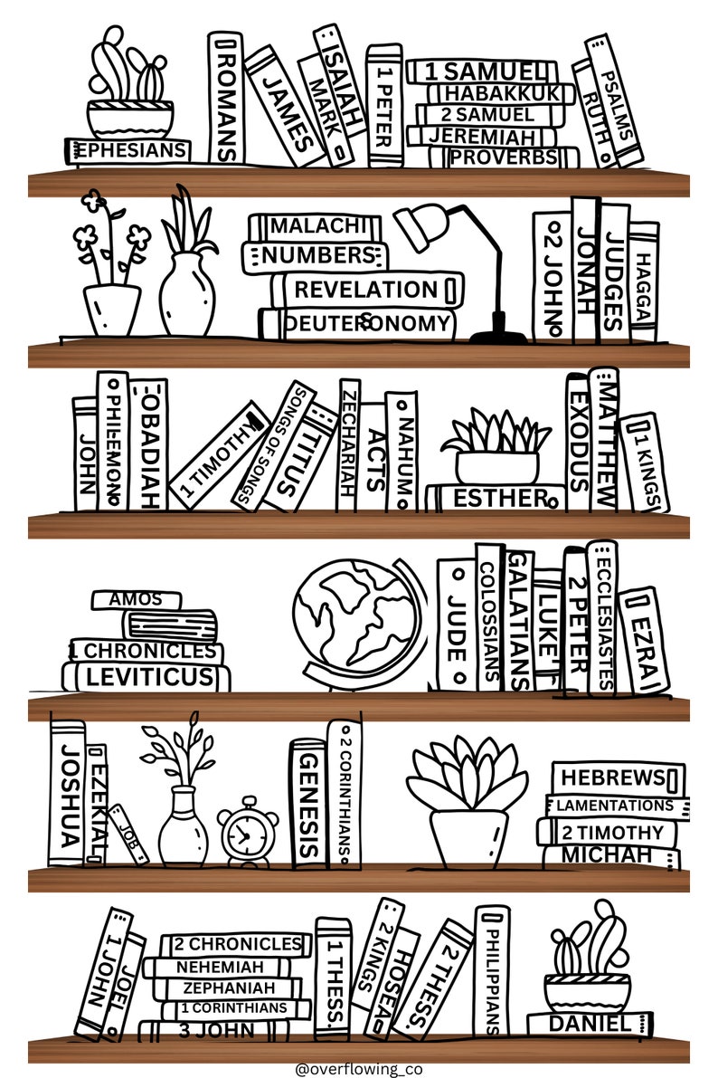 Books of the Bible Bookshelf Color Chart - Etsy
