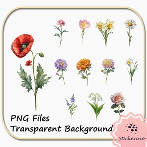 Mois de naissance Aquarelle Fleurs Clipart Bundle | Fond transparent PNG | Fleurs de naissance | Fabrication de cartes | Artisanat de bricolage | Un usage commercial