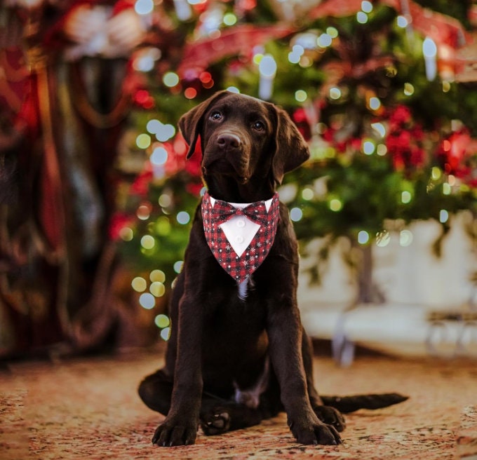 Christmas Costume for Dogs Pet, Christmas Dog Tuxedo Bandana,dog