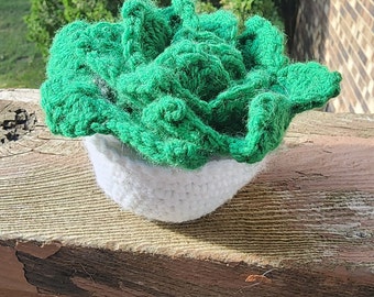 Crochet Succulent Coaster Pattern Etsy