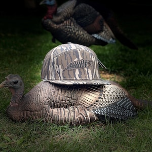 May include: A camouflage-patterned baseball cap with a feather design sits atop a turkey decoy on green grass. Another turkey is visible in the background. The cap has a flat brim and a brown, tan, and green camouflage pattern.