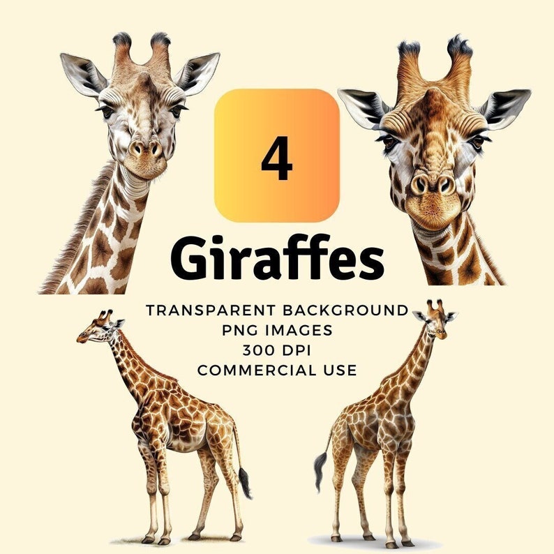 Buy Giraffe Clipart Set Transparent PNG Files Instant Download Online