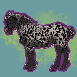 May include: Illustration of a horse with a spotted coat in shades of gray and black. The horse is outlined in purple with yellow star accents. The background is a teal color with green and yellow brushstrokes.