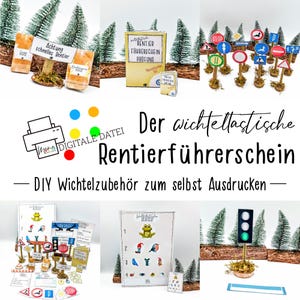 DIY kabouter rendieren rijbewijsset voor je kabouterdeur | Kinderen | Magie | Kerstmis | scandi | Decoratie | Geheime Kerstmanscène | Kabouter Oma Wanda