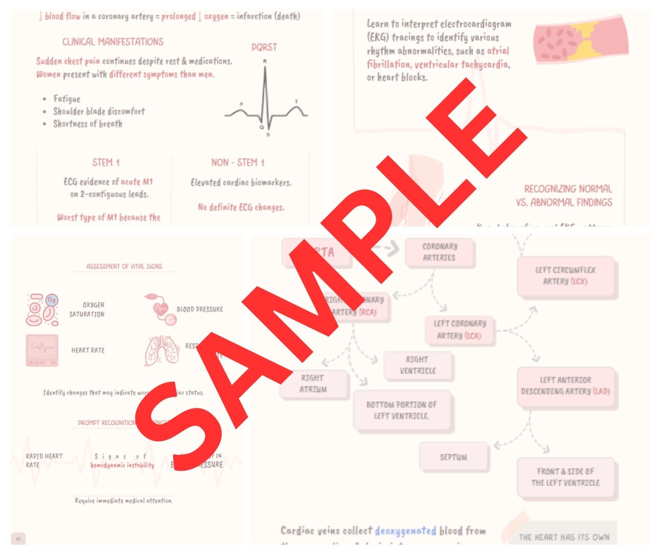 Medical Study Guide Nursing Medical Surgical Cardiac Study Guide Full - Etsy