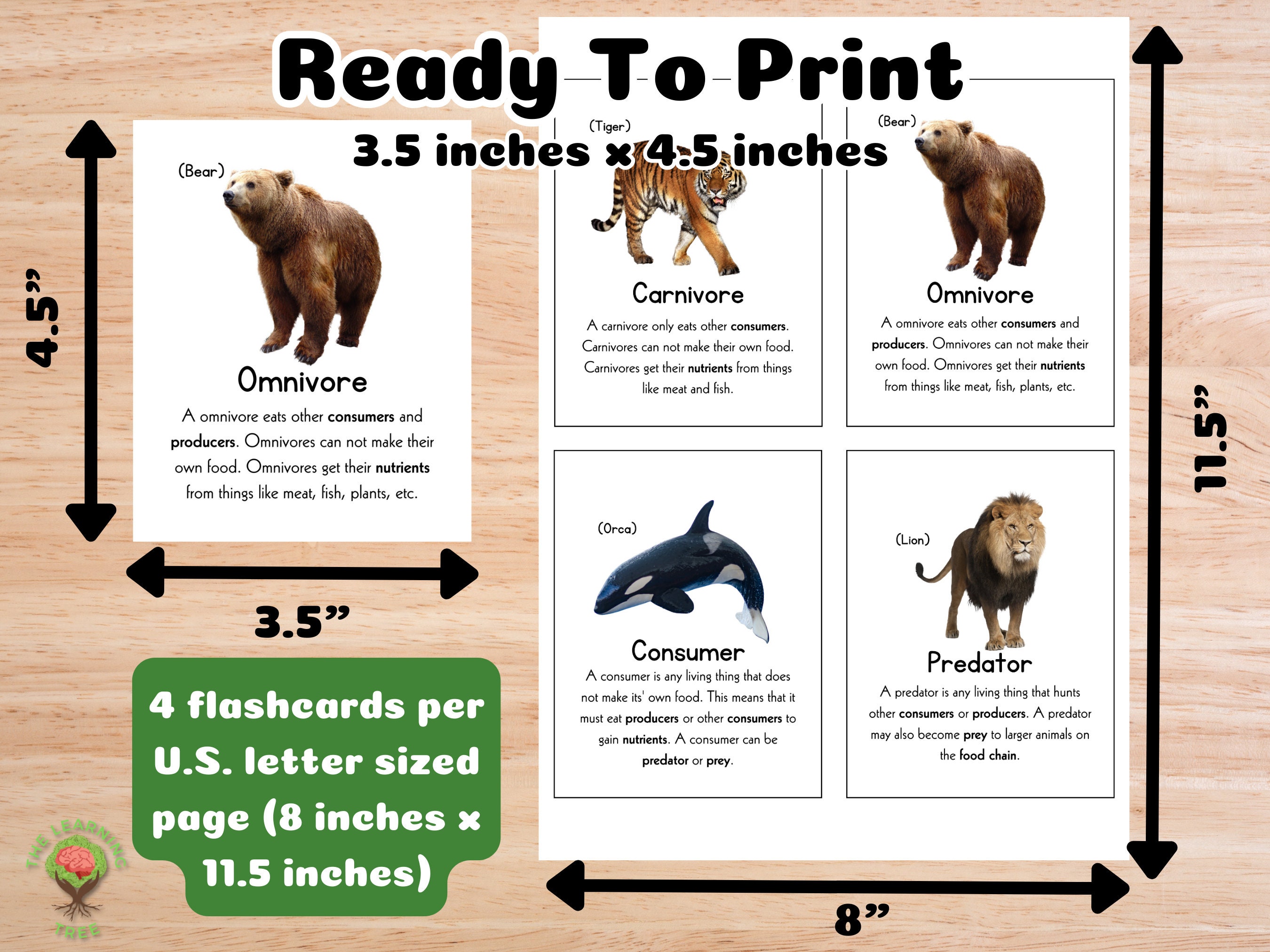 18 Food Chain Flashcards Digital Download Educational Flashcards Biology Diagrams