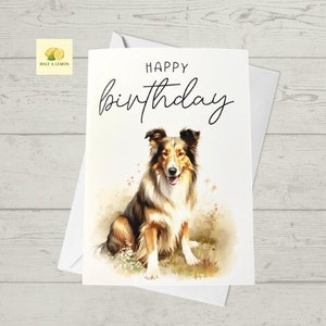 Birthday card with a cute Collie dog, dog birthday card, birthday card, for sister, brother, niece, nephew, friend, mum, dad, nan, grandad,