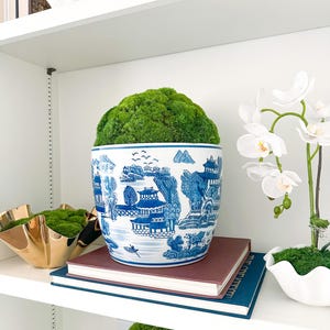 May include: A blue and white ceramic planter with a landscape design, filled with green moss, sits on a shelf. The planter is placed on top of two books. A gold decorative bowl and a white orchid are also on the shelf.