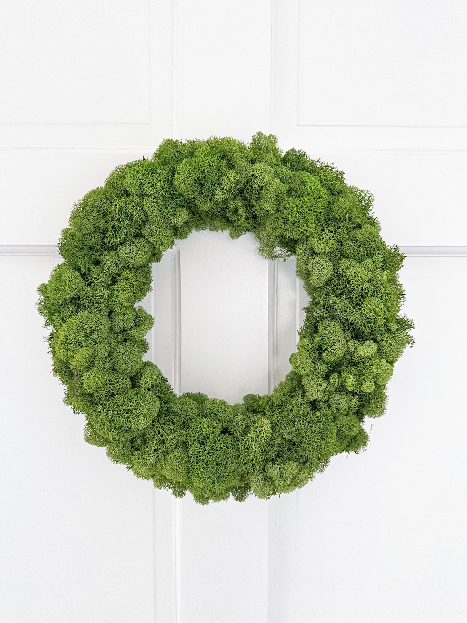 Preserved Mini Boxwood Wreath, Simple Spring Wreath, Spring Wreath