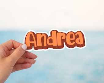 Boy name custom stickers, personalized stickers, waterproof stickers, laptop stickers, water bottle stickers, custom sticker, custom name