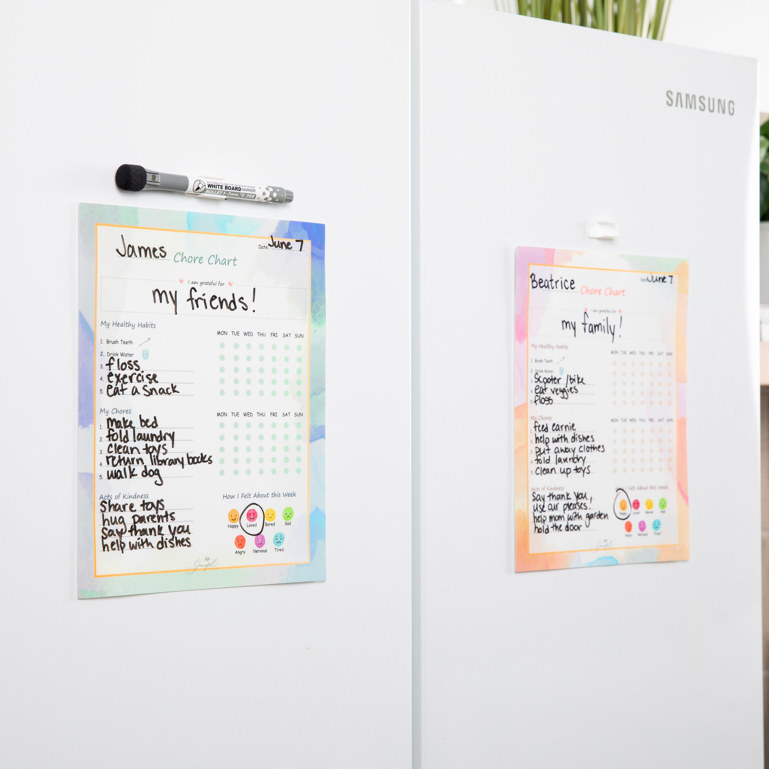 Back Chart Note Chore Charts for Kids - Reusable Sticky Note | Adhesive on Back Sticks ...