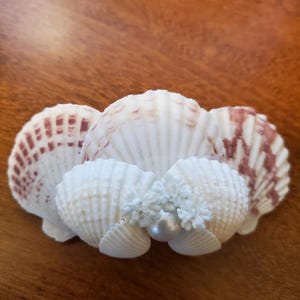 Seashell Barrettes - Etsy display picture 2