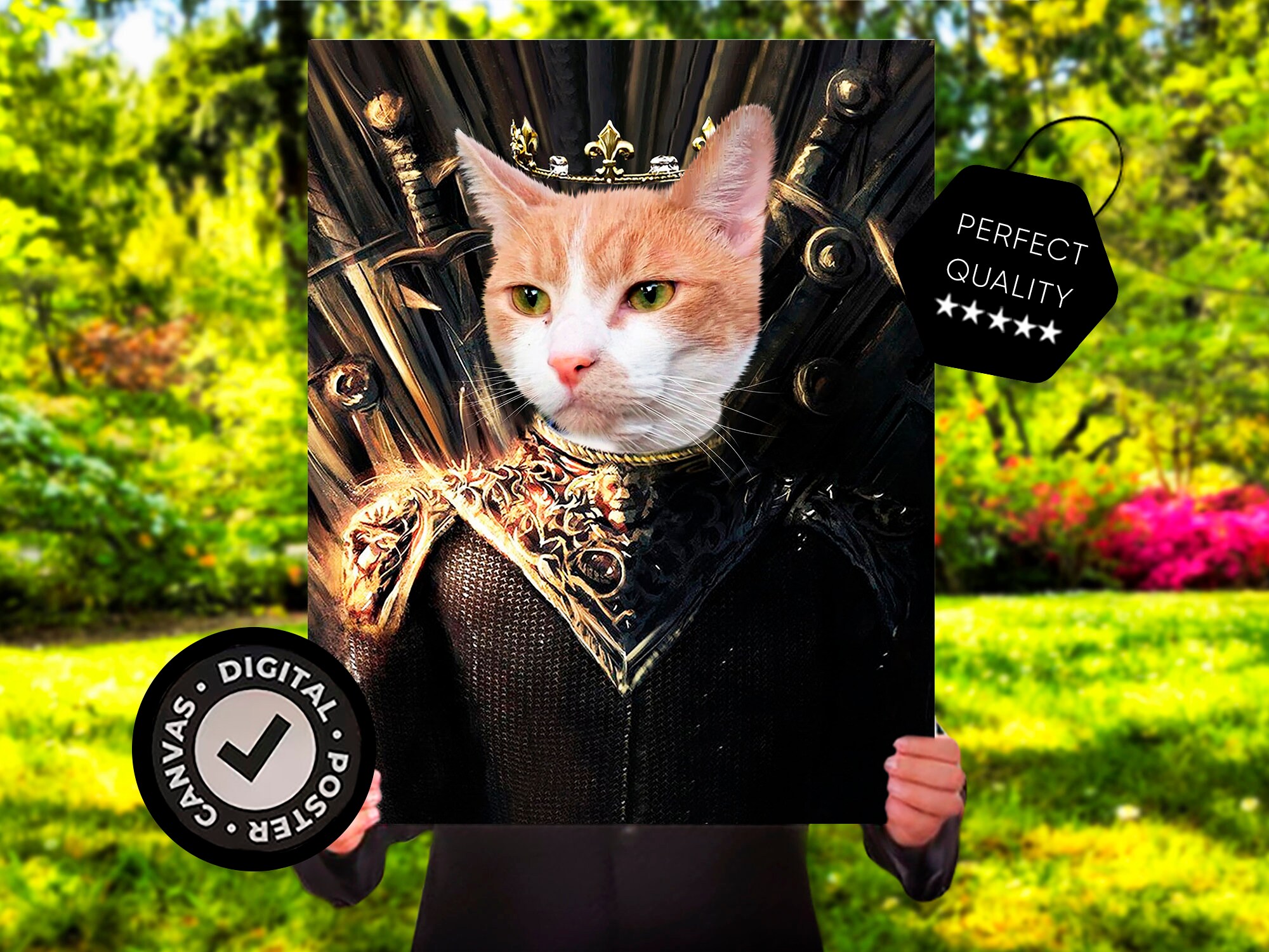 Game of recognized thrones cat costume