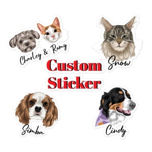 Pegatinas personalizadas para mascotas, pegatinas personalizadas para perros, pegatinas personalizadas para gatos, pegatinas de memes para mascotas para niños, pegatinas para mascotas impermeables de meme premium